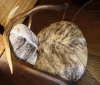 изделия из рогов для охотничьего интерьера