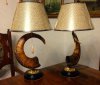 lampy-iz-roga-arkhar-parnye.4